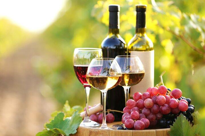 11 Course Lunch with Cooking Mastery and Wine Tasting in Rhodes