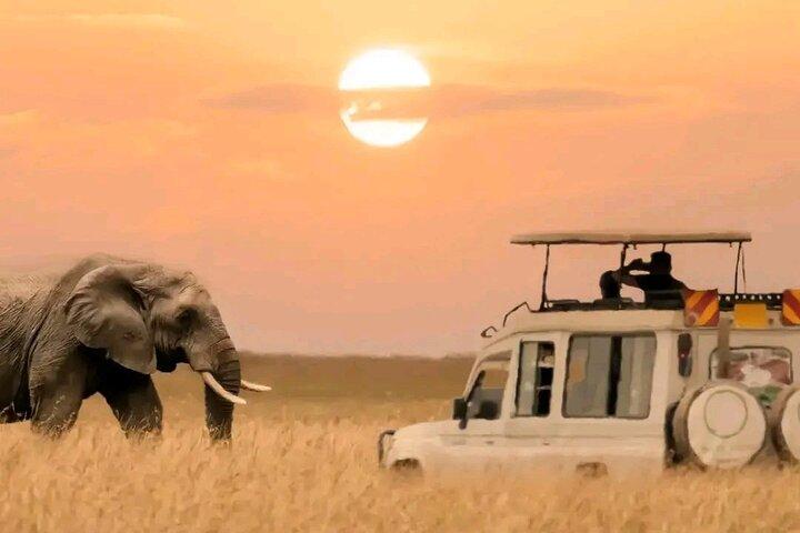 3 Days safari to Tarangire, Ngorongoro and Manyara national park