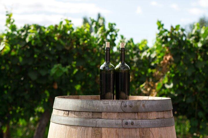Private Tour in Winery Area with transfer From Vienna to Prague