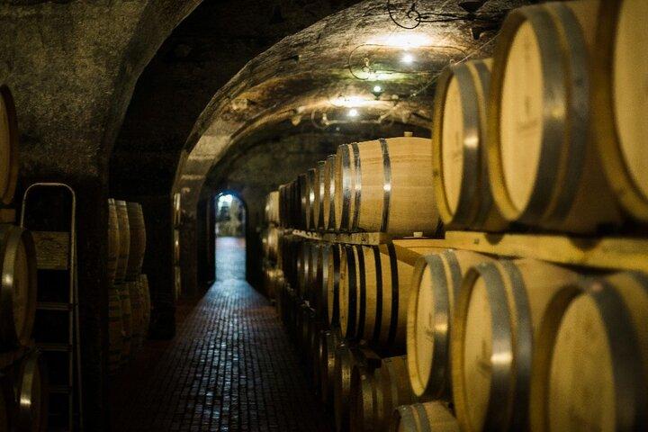 Full Day Small Group Wine Tour Cape Town and Stellenbosch