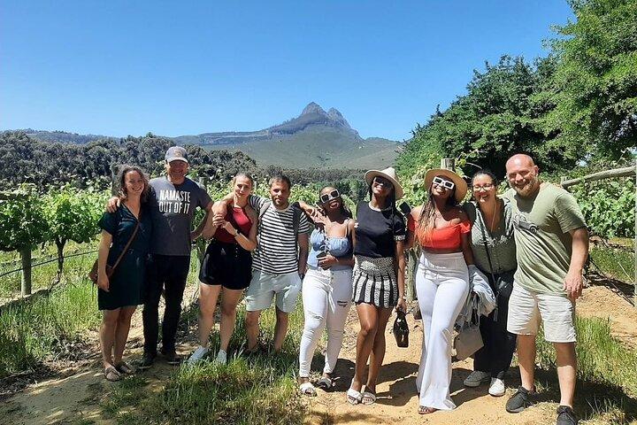 Full Day Small Group Wine Tour Cape Town and Stellenbosch