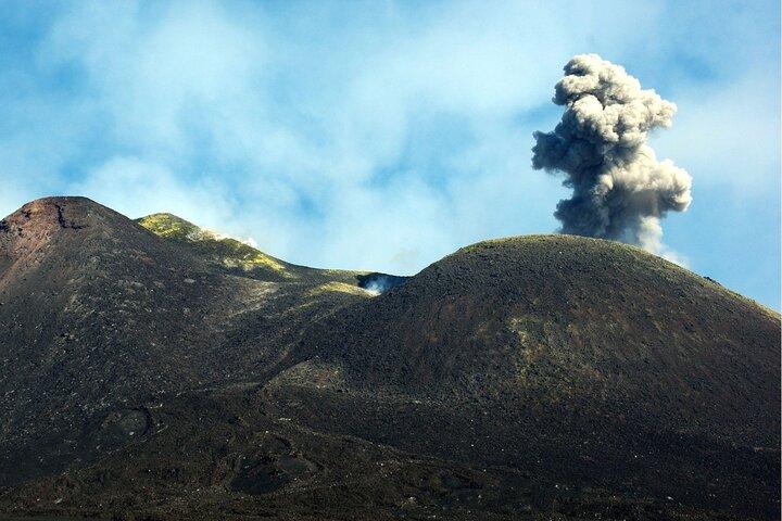 From Palermo to Taormina via Mount Etna (Multilingual Service)