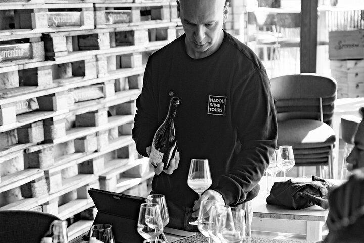 Private Wine Tour,lunch,9 wines,sommelier, transport from Naples