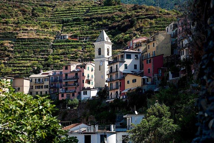 Private Cinque Terre Day Trip from Florence WITH or WITHOUT Pisa