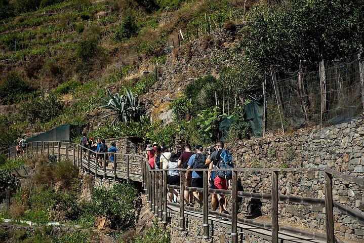 Private Cinque Terre Day Trip from Florence WITH or WITHOUT Pisa