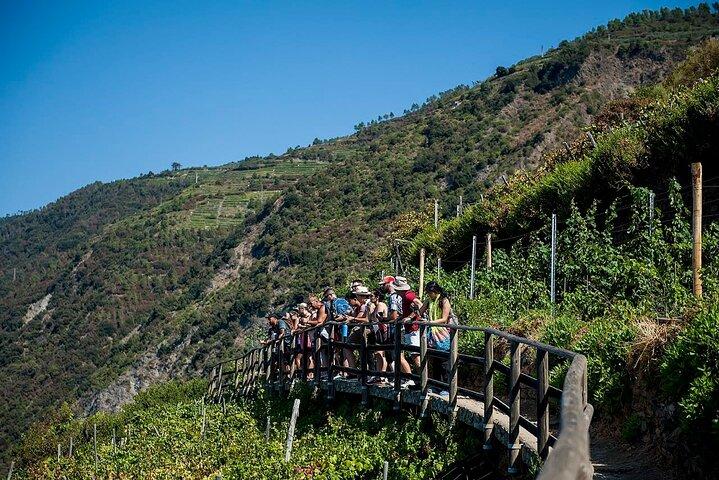 Private Cinque Terre Day Trip from Florence WITH or WITHOUT Pisa