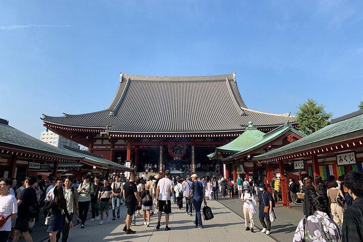 Tokyo Shibuya and Harajuku Walking Tour With A Guide