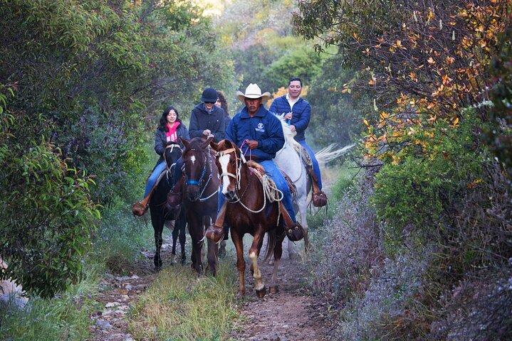 Ensenada Shore Excursion: Private Beach or Canyon Horseback