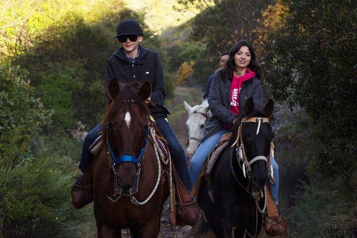 Ensenada Shore Excursion: Private Beach or Canyon Horseback