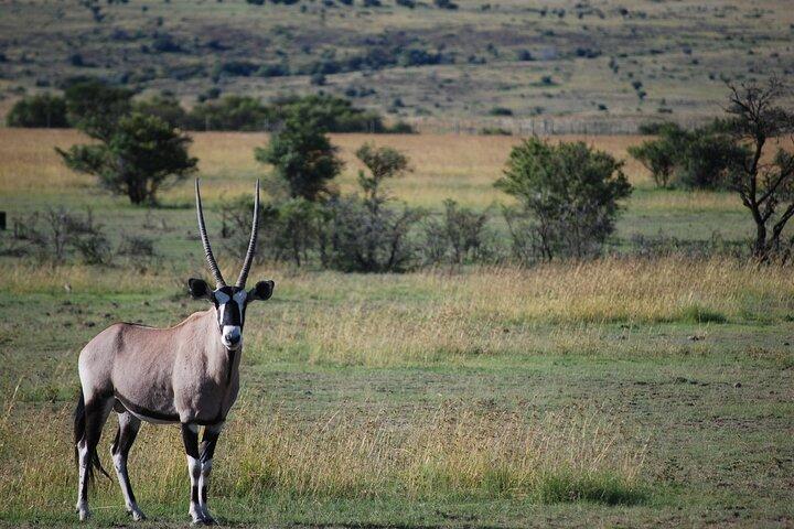 Private Day Trip to Arusha National Park