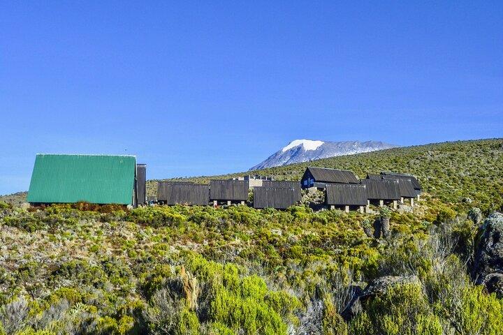 Full Day Guided Trekking in Mount Kilimanjaro