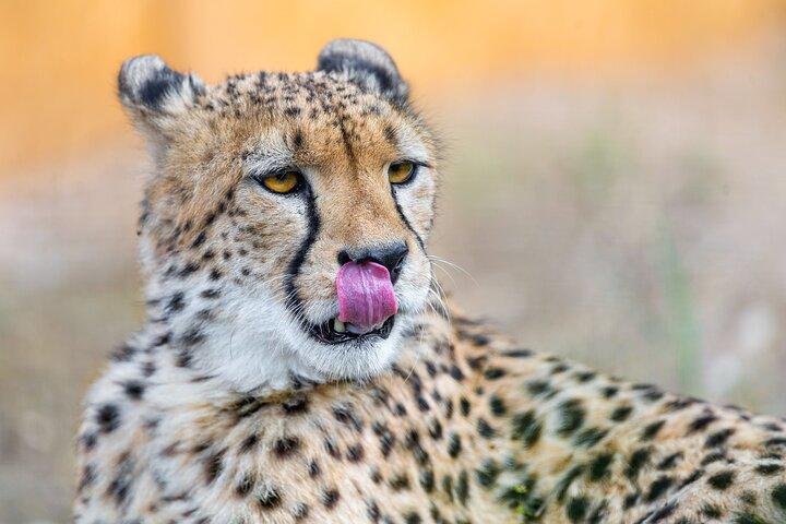3 Days Ngorongoro Safari