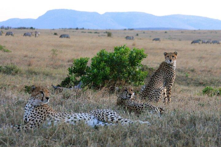 3 Days Midrange Safari At Serengeti and Ngorongoro