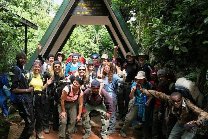 Full Day Guided Trekking in Mount Kilimanjaro