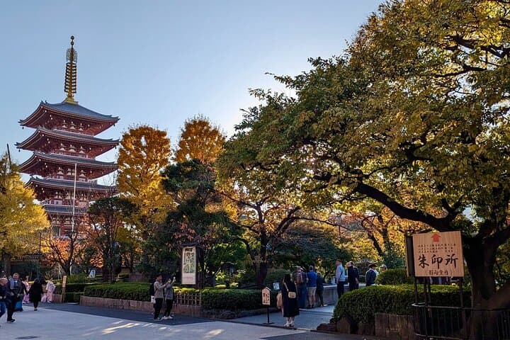 8-Hour Private Tour of Traditional Tokyo in Spanish