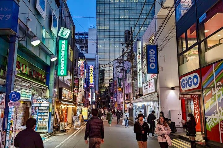 8-Hour Private Tour of Traditional Tokyo in Spanish
