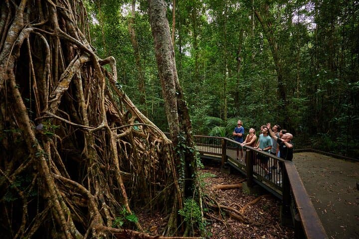 From Cairns: Atherton Tablelands Wildlife & Waterfalls