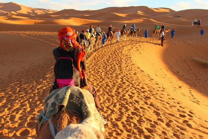 02 Days Marrakech - Ouarzazate - Zagora