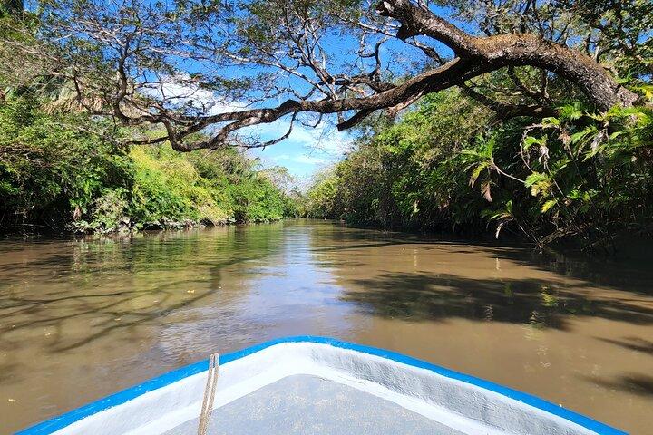 Spectacular Palo Verde Eco-Tour & Blue Zone Adventure