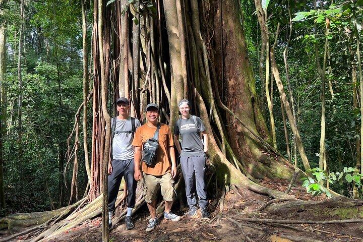 Jungle trekking Bukitlawang