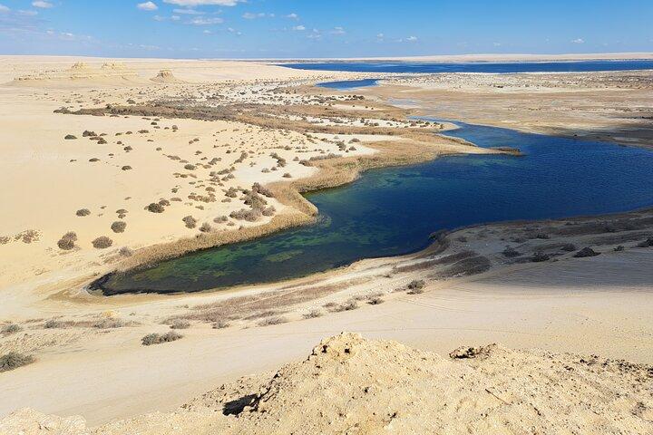 5 d 4 n all inclusive white and black desert, fayoum, siwa oasis