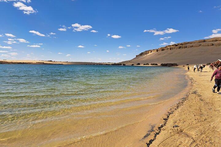 5 d 4 n all inclusive white and black desert, fayoum, siwa oasis