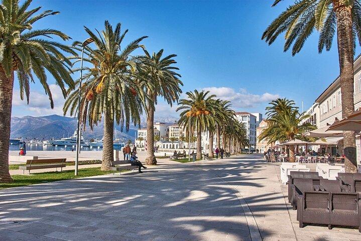 Private One Way Transfer from Dubrovnik or Airport to Tivat