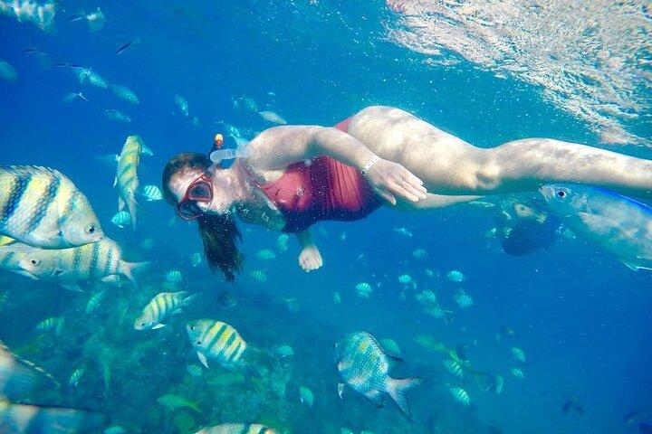 Private all-inclusive snorkeling at sosua beach.