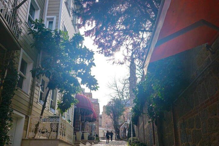 Half Day Istanbul Highlights Tour By Art Historian