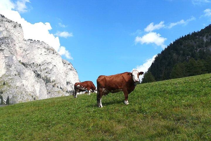 The Grand Dolomites Tour from Lake Garda