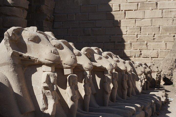Avenue of Sphinxes Private Luxor Tour