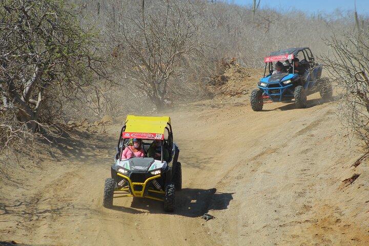 Los Cabos UTV Beach & Desert Tour with Tequila Tasting&Transfer