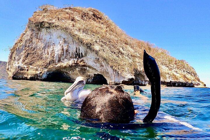 Paddleboard and Snorkeling Experience in Los Arcos