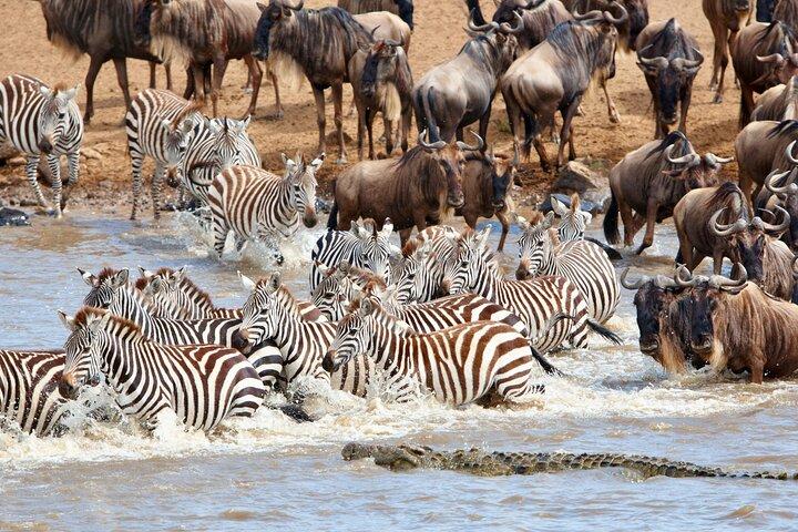 2 Days Tour Tarangire and Ngorongoro Crater Group Joining Safari