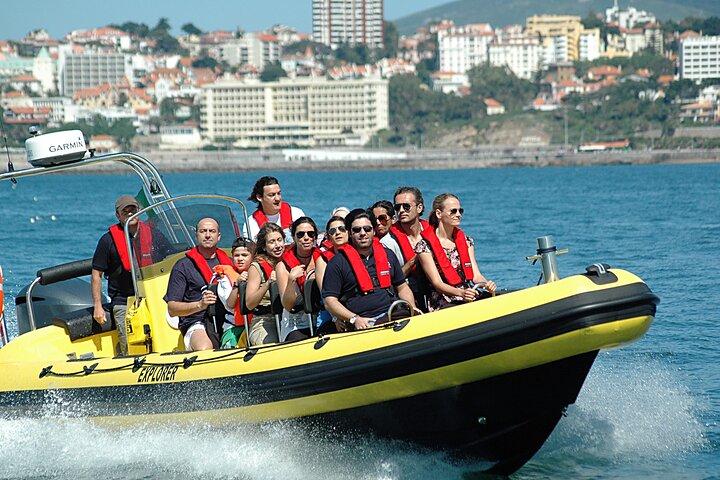 Dolphin Watching Experience in Cascais