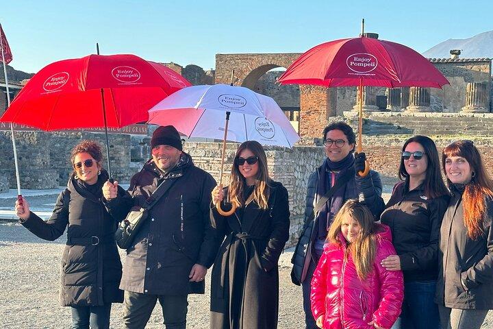 Small Group Guided Pompeii Tour from Positano