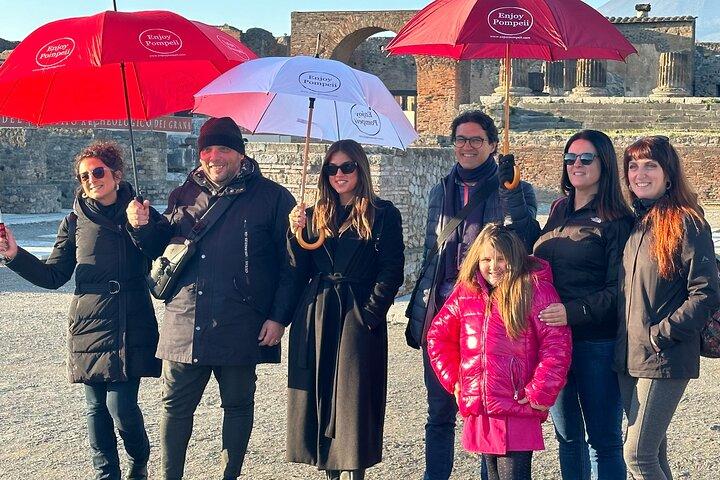 Pompeii Guided Tour and Wine Tasting from Positano