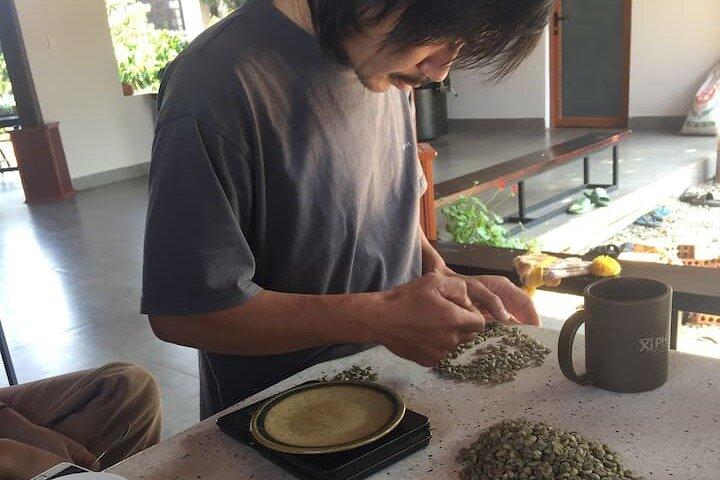 Experience Making specialty coffee in Da Lat City