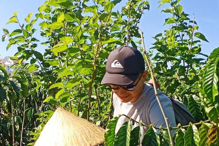 Experience Making specialty coffee in Da Lat City