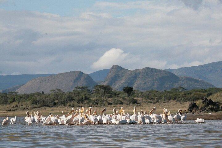 2 Days Prehistoric Tour in Elemantaita, Soysambu and Kariandusi