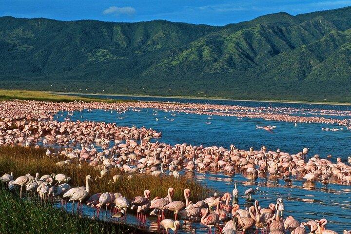 2 Days Prehistoric Tour in Elemantaita, Soysambu and Kariandusi