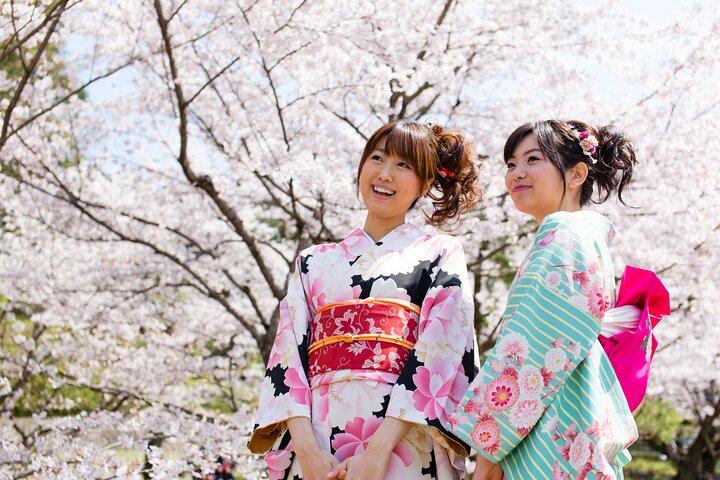 Kyoto 1day 100% silk of traditional. Kimono Rental Experience