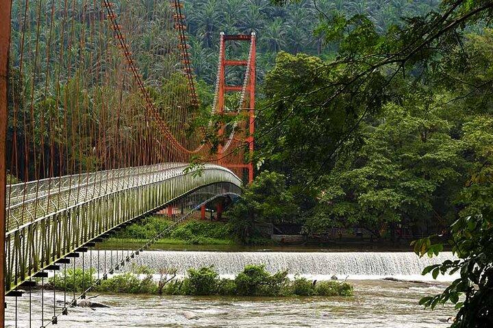 Day Trip to Athirappilly Water Falls by Kochi Taxi