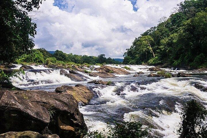 Day Trip to Athirappilly Water Falls by Kochi Taxi