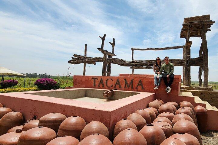 From Lima: All-Inclusive Day trip to Paracas & Huacachina Oasis