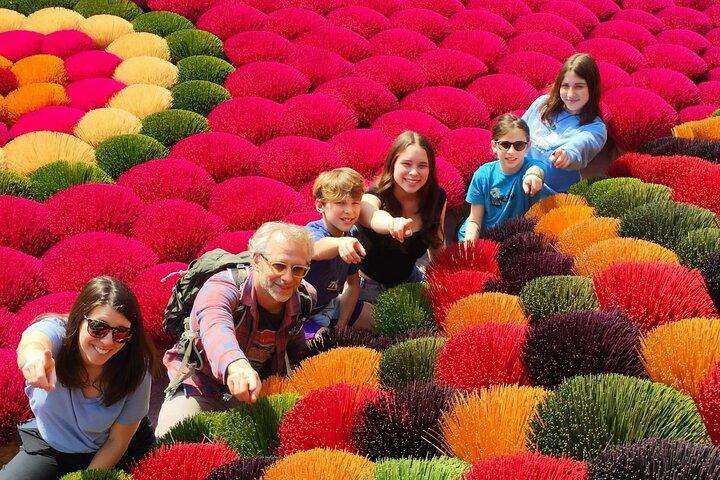 Full-day Tour from Hanoi to Incense Village & Tam Coc, Ninh Binh
