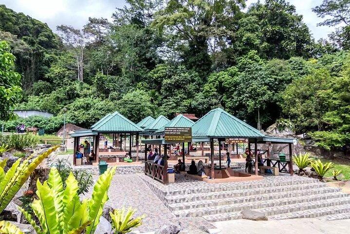 Private Desa Dairy Farm, Kinabalu National Park, Hot Spring & Canopy Walk Tour