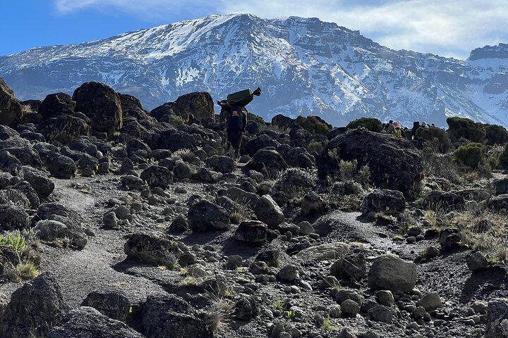 8 Days Kilimanjaro Climbing Lemosho Route