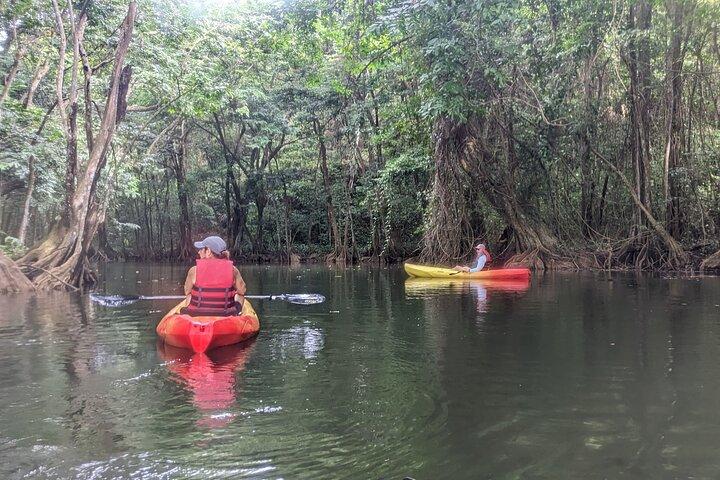 Splash Adventure Jeep and Kayak Safari