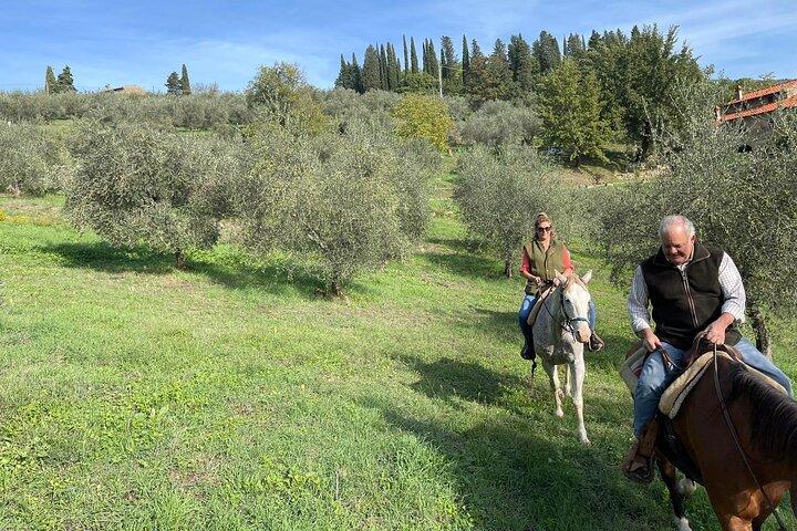 Truffle hunt, Lunch, Horse riding, a top half-day near Florence